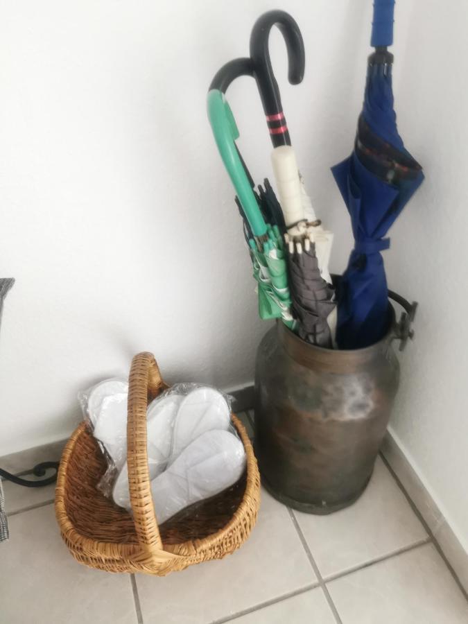 Schoene 3-Zimmer Erdgeschosswohnung Am Bergpark,Unesco,Therme,Train, Wilhelmshoeher Allee 329 Kassel Dış mekan fotoğraf