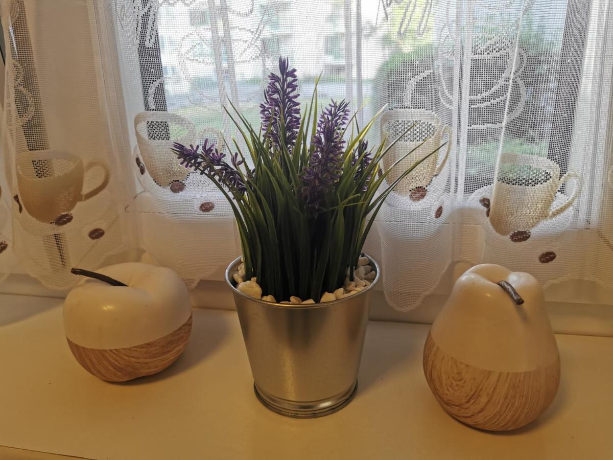 Schoene 3-Zimmer Erdgeschosswohnung Am Bergpark,Unesco,Therme,Train, Wilhelmshoeher Allee 329 Kassel Dış mekan fotoğraf