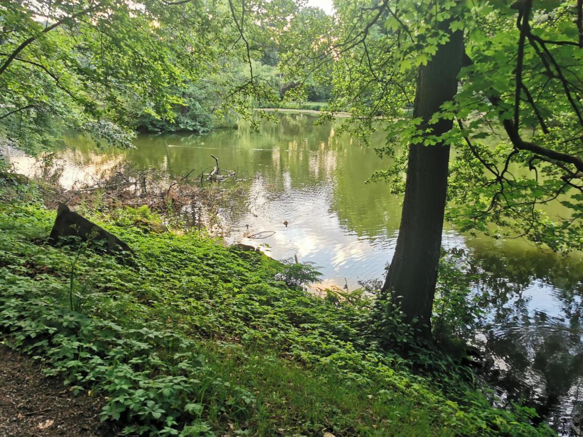 Schoene 3-Zimmer Erdgeschosswohnung Am Bergpark,Unesco,Therme,Train, Wilhelmshoeher Allee 329 Kassel Dış mekan fotoğraf
